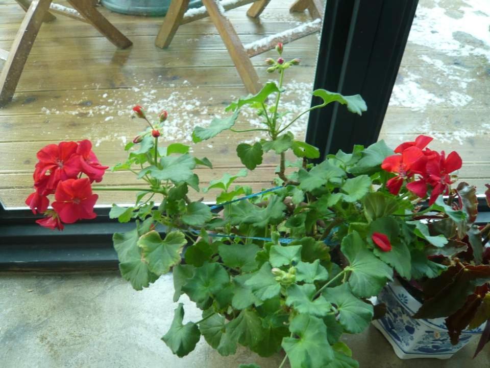 Guesthouse In Picture Jeonju Bagian luar foto